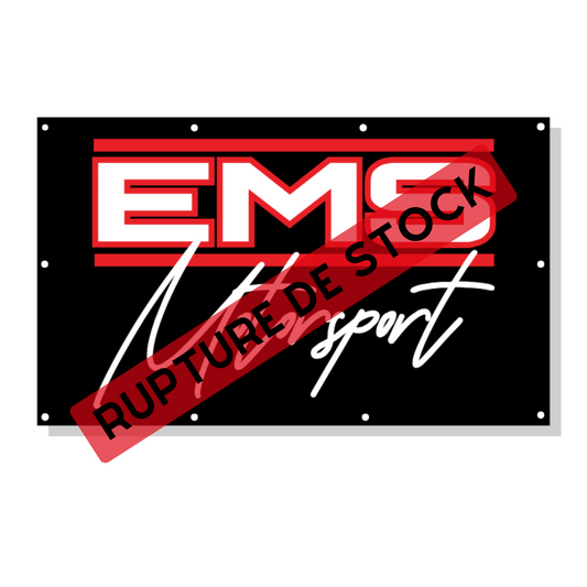 Drapeau Signature EMS